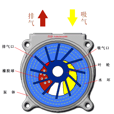 06.gif